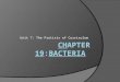 Chapter 19.1 Bacteria