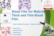 Blood film for malaria