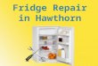 Fridge repair hawthorn