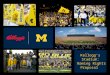 Graduate School Project - Naming Rights for Michigan Stadium