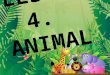 4. animals
