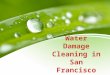 Water Damage Cleaning in San Francisco