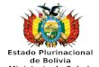 Tratamiento 2.0 Bolivia dic2014