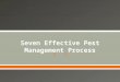 Seven Effective Pest Management Process