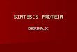 Sintesis%20 protein