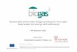 Sustainable small-scale biogas production from agrofood waste for energy self-sufficiency (2)