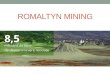 Romaltyn Mining - activitate