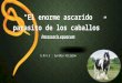Patología Clinica Animal - Parascaris equorum-