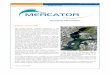 Mercator Ocean newsletter 20