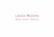 Laura Mulvey's Theory