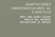 Adaptaciones cardiovasculares al ejercicio