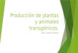 Producción de plantas y animales transgénicos
