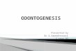 Odontogenesis  i