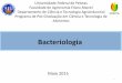 Taxonomia bacteriana-e-estrutura-de-células-procarióticas