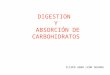 Digestión y absorción de carbohidratos en peces