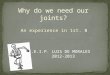 Why do we need our joints