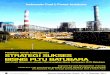 Brochure Strategi Sukses Bisnis PLTU Batubara