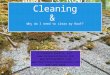 What is roof cleaning and why you should clean your roof