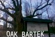 Oak bartek