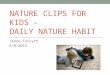 Jenna forsyth  daily nature clips for kids submission
