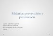 Malaria: Promoción y prevención