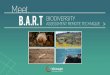 Biodiversity Assessment Remote Technique (BART) - Drones and Biodiversity