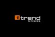 Terrazzo Floor Installation & Repair - Trend USA (863) 655-0164