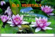 Els vegetals lucas i laura f2