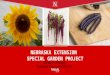 Nebraska Extension Special Garden Project- Awards Presentation