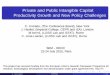 Private and Public Intangible Capital: Productivity Growth and New Policy Challenges
