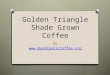 Golden Triangle Shade Grown Coffee