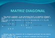 Matriz diagonal