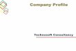 Technosoft Consultancy_Company Profile