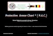 P.A.C Protective Armor Chart public