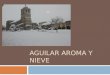 Aguilar aroma y nieve 1