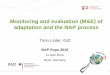 Session iii 3 adaptation m&e and nap process