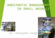 Anesthetic Management In Small Animals 2007