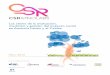 CSR Innolabs - Proyecto transversal
