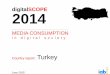 IAB Turkiye digitalSCOPE Report