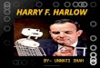 HARRY F HARLOW