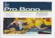 Pro Bono Newsletter