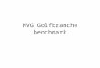 NVG Golfbranche Benchmark