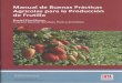 INTA-Manual de Buenas Practicas Agricolas para la Produccion de Frutilla.pdf