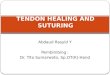 tendon Healing and Suturing