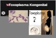 Toxoplasma Kongenital