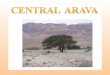 Central Arava