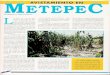 Avistamiento en Metepec R-080 Nº042 - Reporte Ovni - Vicufo2