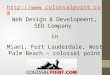 Web Development Company Miami