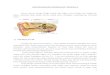 Anatomi Dan Fisiologi Telinga, LAring, Tonsil