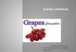 Grapes Compiler